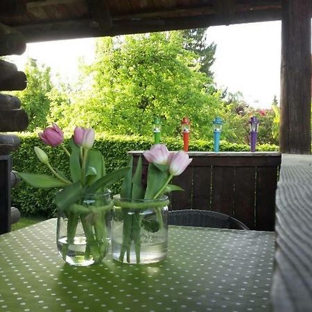 Campinghuette Mit Fkk Moeglichkeit Meckenbeuren Exterior foto